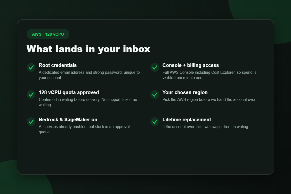 What you receive when you buy a verified AWS 128 vCPU account